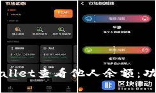 如何使用tpWallet查看他人余额：功能与步骤指南