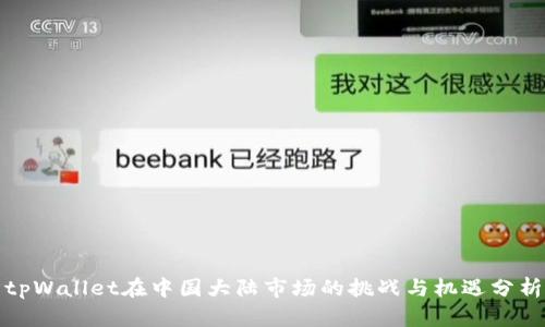 tpWallet在中国大陆市场的挑战与机遇分析