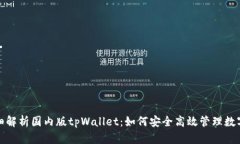 : 详细解析国内版tpWallet：