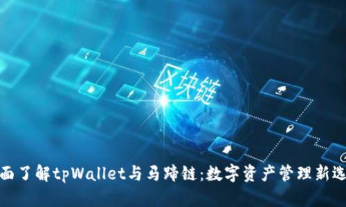 全面了解tpWallet与马蹄链：数字资产管理新选择