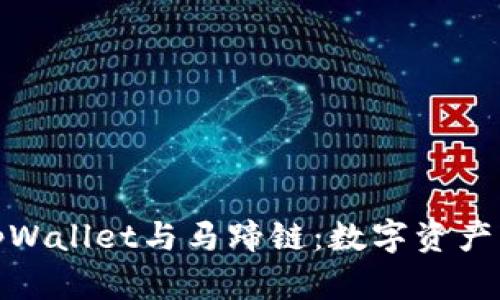 全面了解tpWallet与马蹄链：数字资产管理新选择