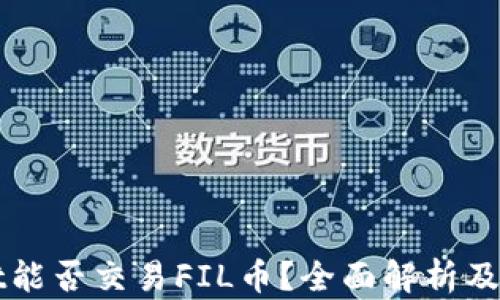 
tpWallet能否交易FIL币？全面解析及使用指南