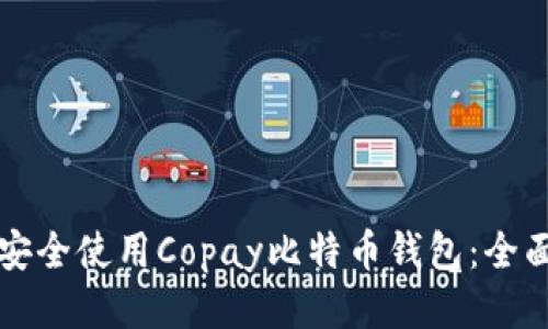 如何安全使用Copay比特币钱包：全面指南