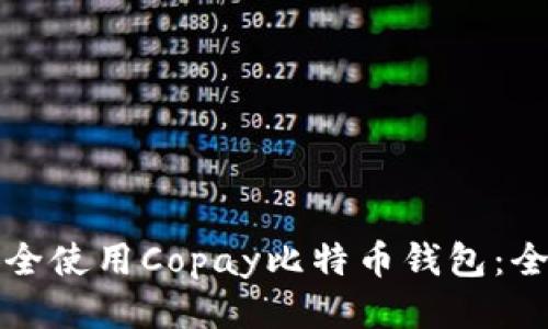 如何安全使用Copay比特币钱包：全面指南