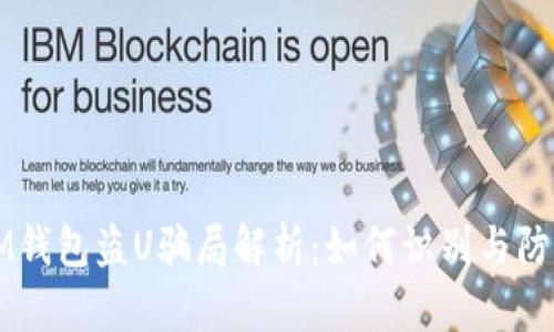 IM钱包盗U骗局解析：如何识别与防范