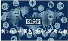 全面解析Tube币钱包：安全