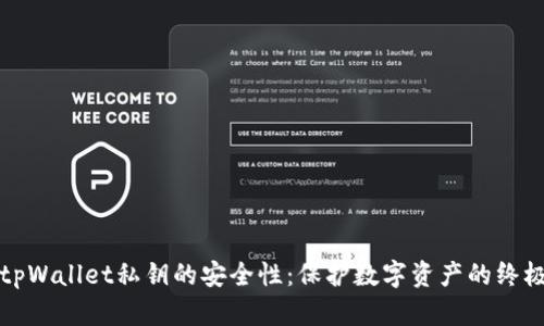 探讨tpWallet私钥的安全性：保护数字资产的终极指南