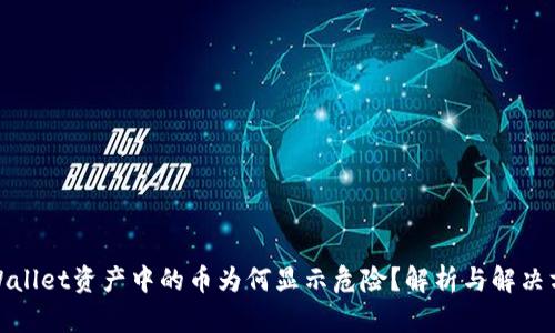 tpWallet资产中的币为何显示危险？解析与解决方案