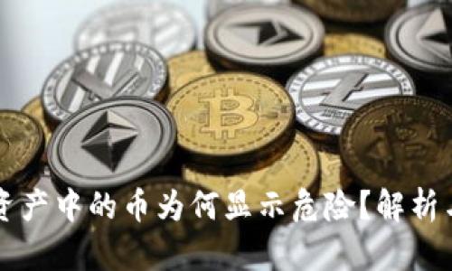 tpWallet资产中的币为何显示危险？解析与解决方案