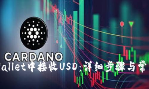 如何在tpWallet中接收USD：详细步骤与常见问题解析