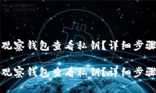 如何通过TP观察钱包查看私钥？详细步骤与安全建议

如何通过TP观察钱包查看私钥？详细步骤与安全建议