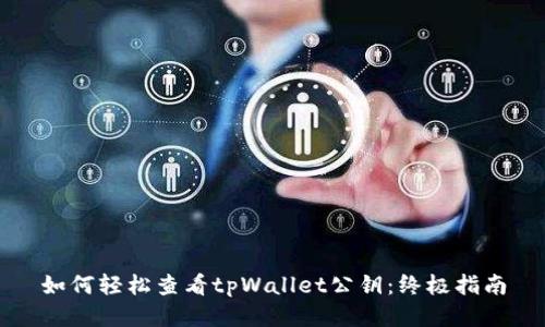 如何轻松查看tpWallet公钥：终极指南