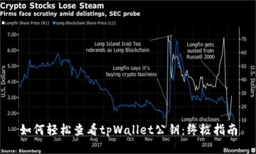 如何轻松查看tpWallet公钥：终极指南