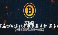 如何在tpWallet寻找私募币种
