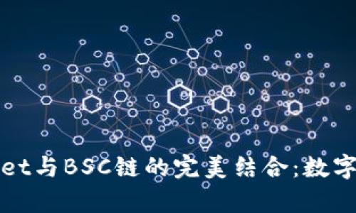 轻松理解tpWallet与BSC链的完美结合：数字货币投资新选择