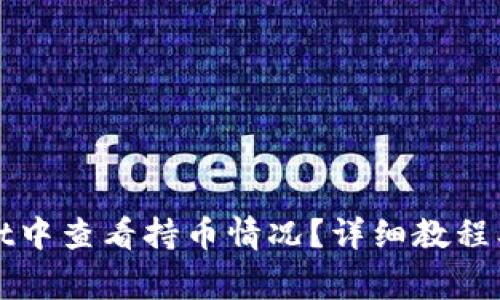 如何在tpWallet中查看持币情况？详细教程及常见问题解答