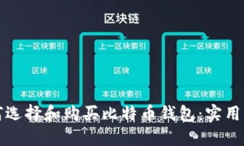 如何选择和购买比特币钱包：实用指南
