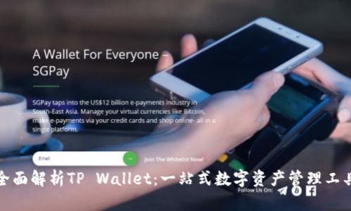 全面解析TP Wallet：一站式数字资产管理工具