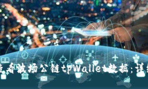 如何查看波场公链tpWallet数据：详细指南