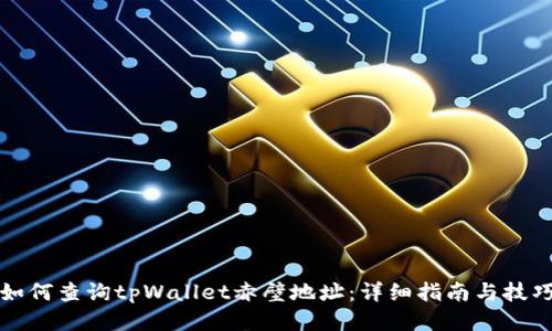 如何查询tpWallet赤壁地址：详细指南与技巧