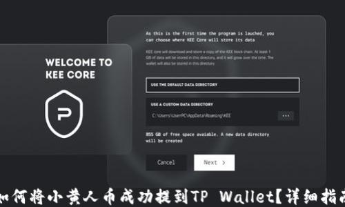 
如何将小黄人币成功提到TP Wallet？详细指南