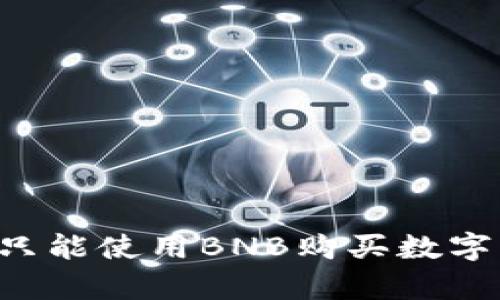 tpWallet是否只能使用BNB购买数字货币？全面解析
