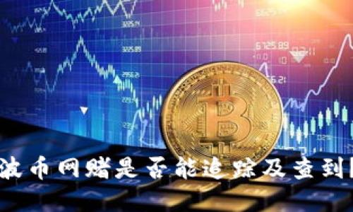 波币网赌是否能追踪及查到？