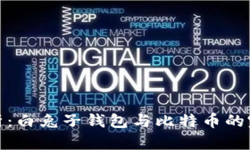 全面解析：白兔子钱包与比特币的完美结合