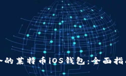 如何选择适合的莱特币iOS钱包：全面指南与实用建议