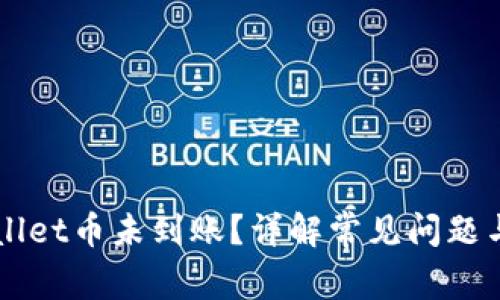 为何tpWallet币未到账？详解常见问题与解决方案