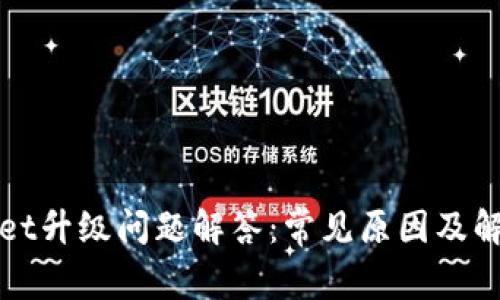 tpWallet升级问题解答：常见原因及解决方案