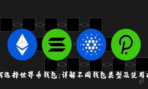 如何选择世界币钱包：详解不同钱包类型及使用指南