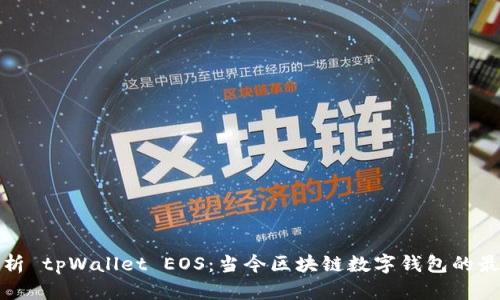 全面解析 tpWallet EOS：当今区块链数字钱包的最佳选择